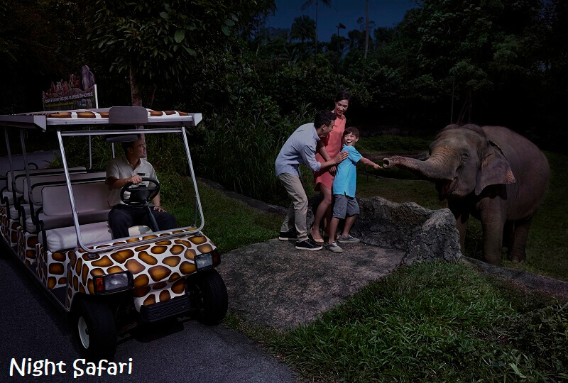 River Safari + Night Safari 